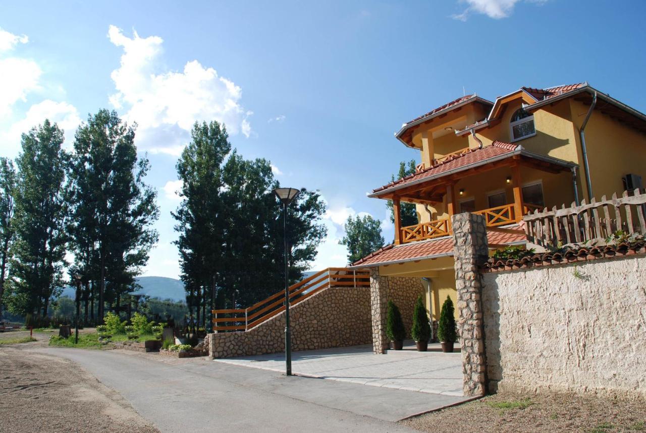 Vila Simic Srebrno Jezero Ostrovo エクステリア 写真